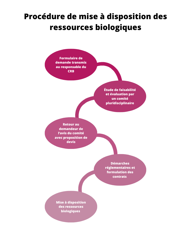 Procédure de mise à disposition des ressources biologiques