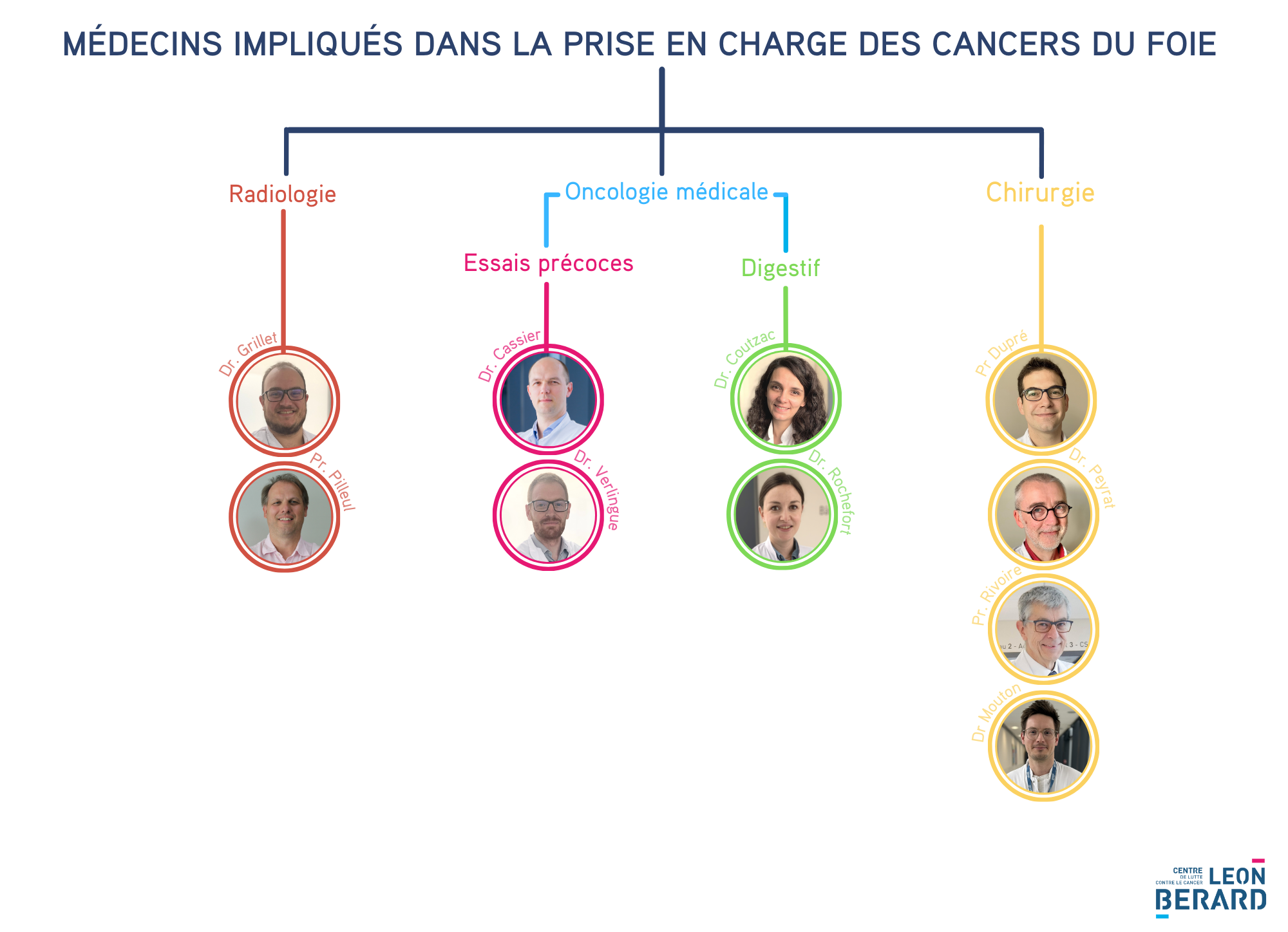 cancer du foie - organigramme 