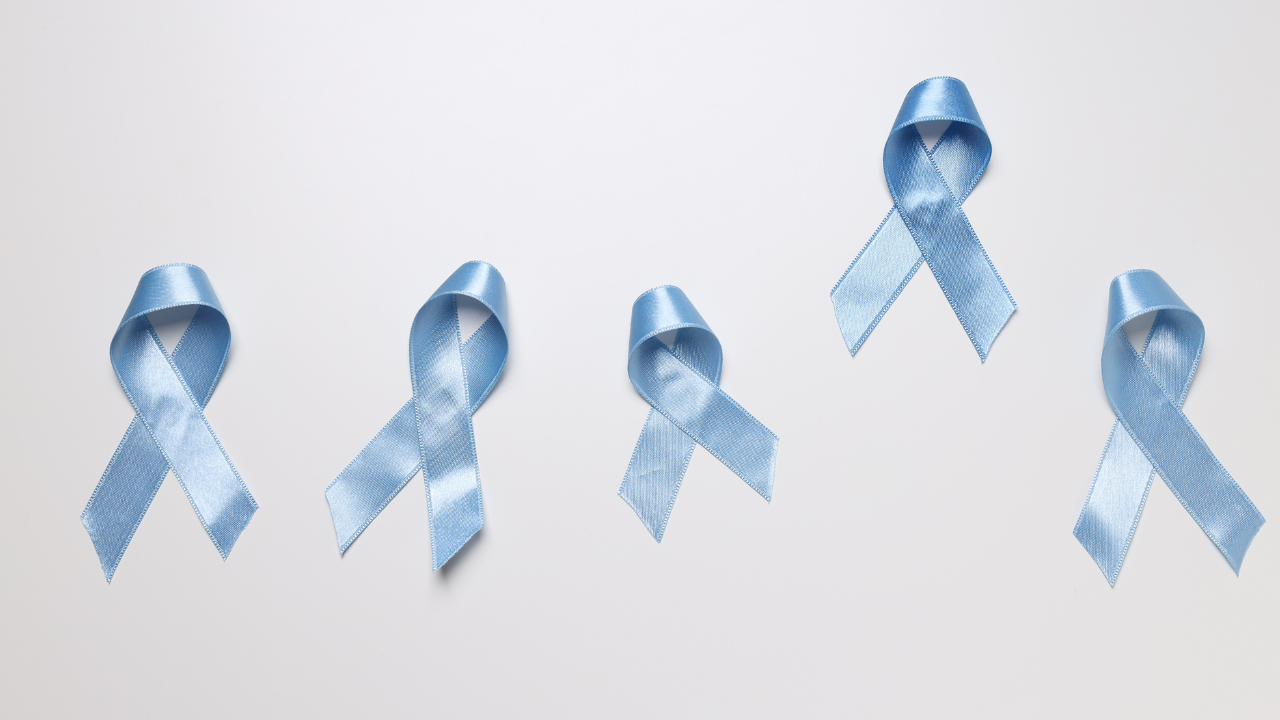 novembre bleu