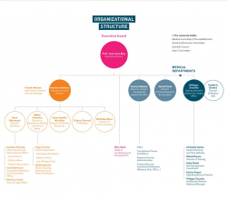 Organizational structure