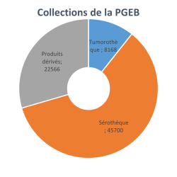 Collections de la PGEB