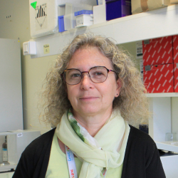 Dr Véronique Maguer-Satta