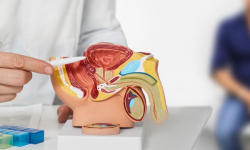 cancer testicule