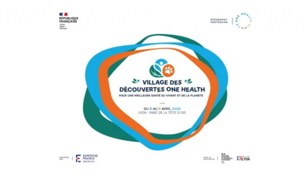 village des découvertes