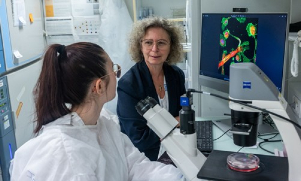 lancement du programme de recherche SEED-AML