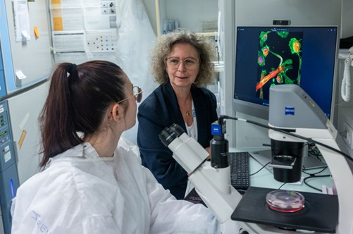 lancement du programme de recherche SEED-AML