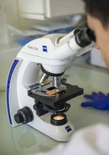 chercheur microscope