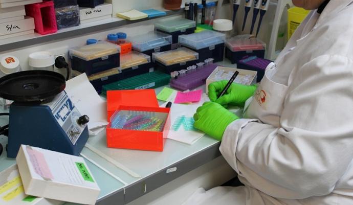 une paillasse de laboratoire